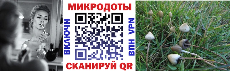blacksprut зеркало  наркота  Махачкала  Галлюциногенные грибы мухоморы 